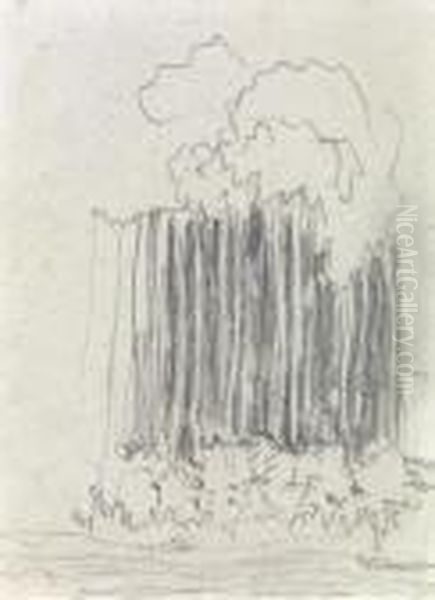 Groupes D'arbres - view 1