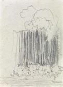 Groupes D'arbres by Pierre Bonnard