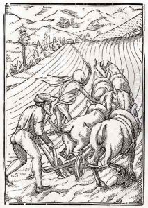 Death comes for the Farmer or Husbandman by Hans Holbein the Younger