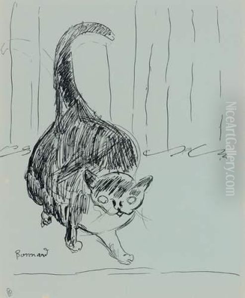 Etude De Chatte Herissee, La Queue Dressee - view 1