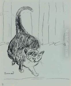 Etude De Chatte Herissee, La Queue Dressee