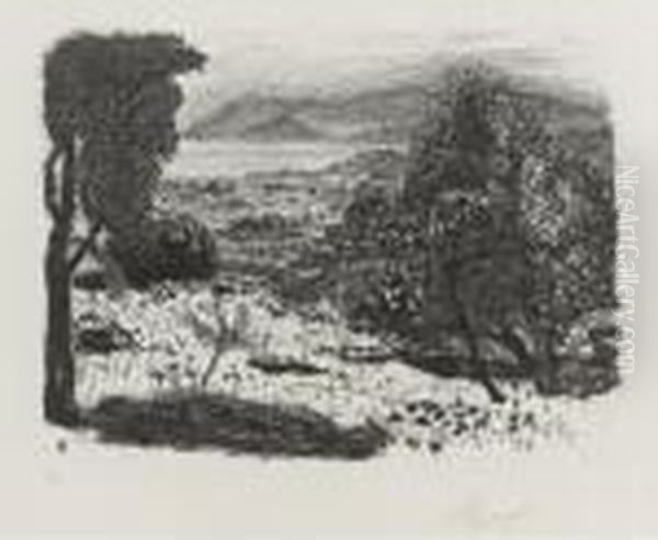 Paysage Du Midi (b. 95) - view 1