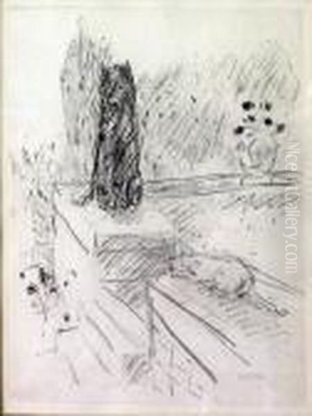 Chat Et Chien - view 1