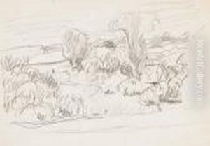 Paysage Paysage