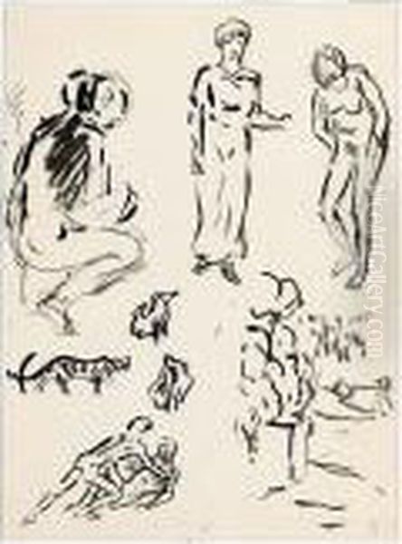 Various Studies - view 1