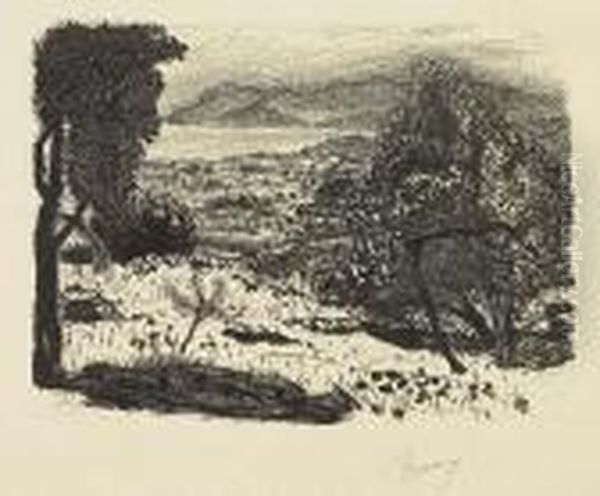 Untitled - view 1