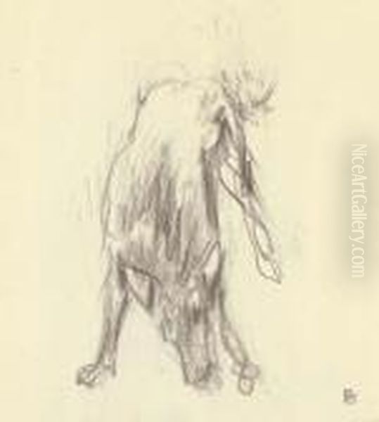 Etude Pour 'dingo' - view 1