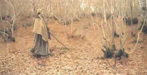 November by Birge Harrison