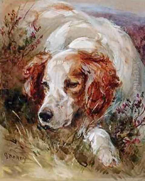 A Spaniel - view 1