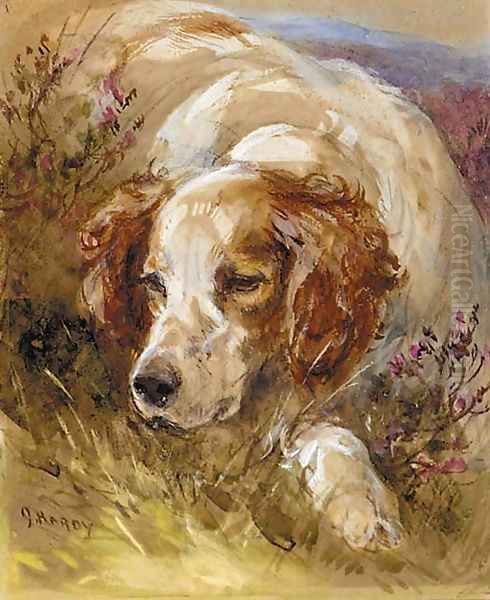 A setter - view 1