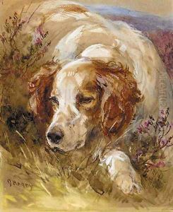 A setter