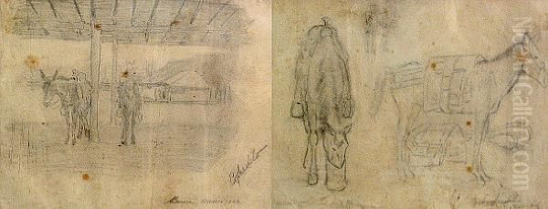 Sketches Of Horses - view 1