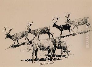 Illustration For by John Edward Borein