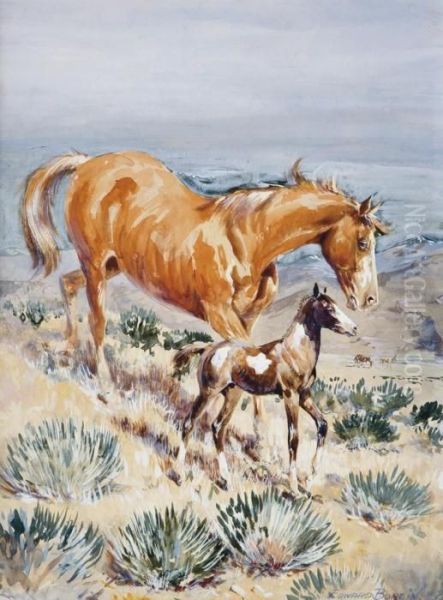 The Pinto Foal - view 1