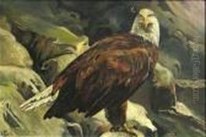 Bald Eagle by John Edward Borein