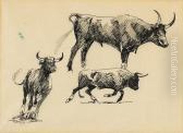 Studies Of Steers And Horses (a Group Of Four) - view 1