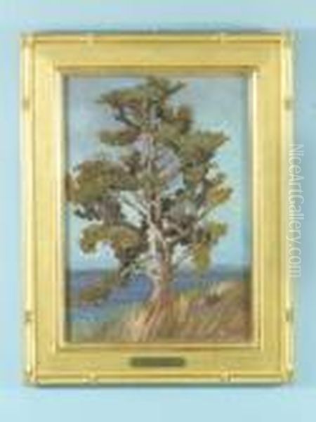 Coastalwater Scene With Tree - view 1