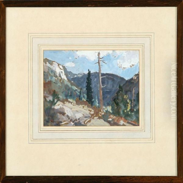 Landscape From Grand Canyon - view 1