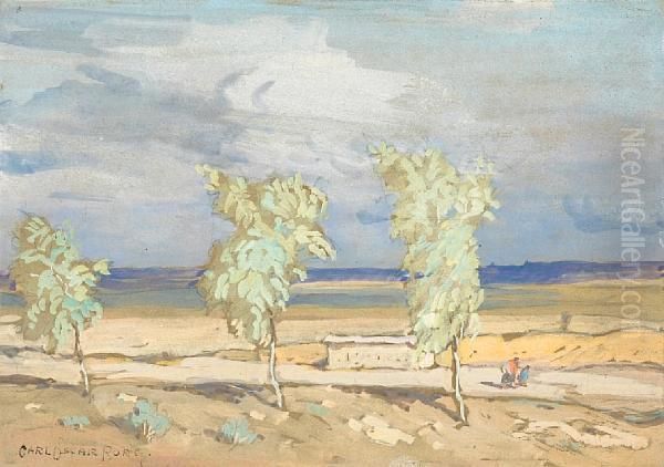 Three Trees Along A Dusty Road - view 1