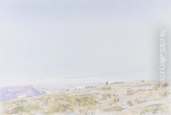 Landscape - view 1