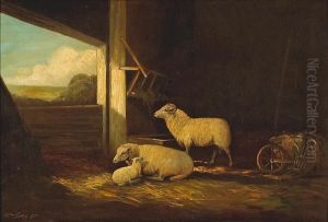 Barnyard Sheep