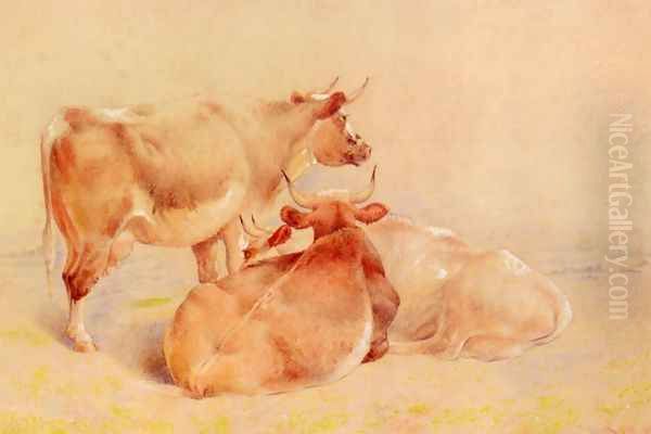 Cattle Resting (2 of 2) - view 1