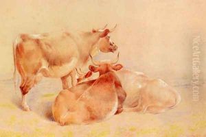 Cattle Resting (2 of 2) by William Huggins