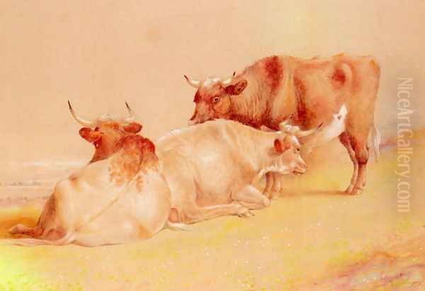 Cattle Resting (1 of 2) - view 1