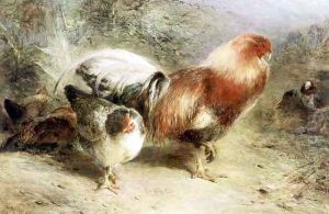 Poultry 2 by William Huggins