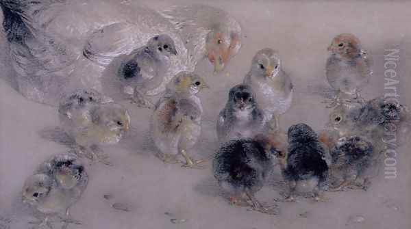 Study of Chickens - view 1