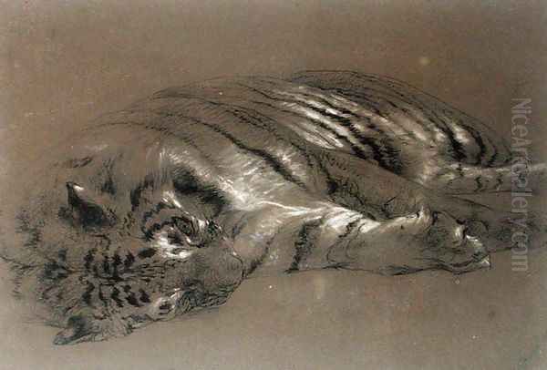 A Sleeping Tiger - view 1