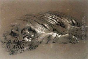 A Sleeping Tiger by William Huggins