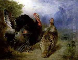 Turkeys by William Huggins