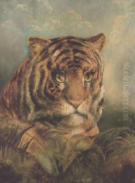 Tiger - view 1