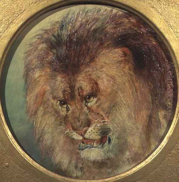 Study of a Lion - view 1