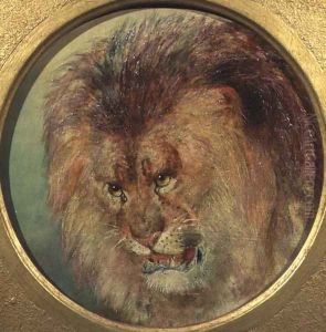 Study of a Lion by William Huggins