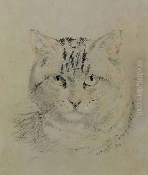 Tabby Cat - view 1