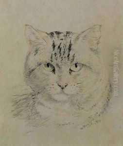 Tabby Cat by William Huggins