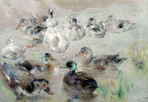 Study of Ducks by William Huggins