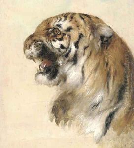A Bengal tiger 2 by William Huggins
