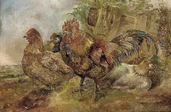 A cock and hens - view 1