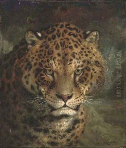 A jaguar