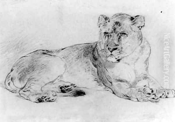 A lioness - view 1
