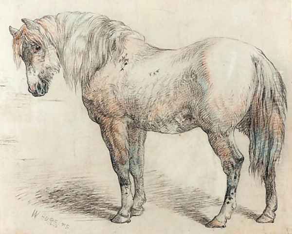 Study of a horse - view 1