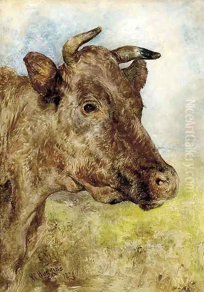 The head of a cow - view 1