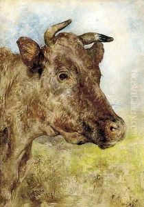 The head of a cow
