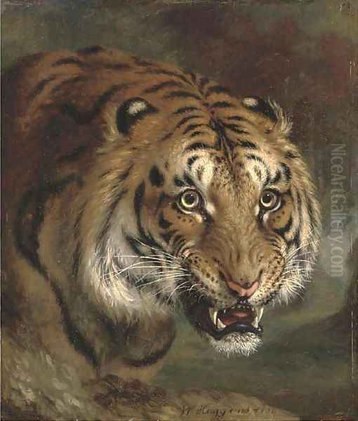 A Bengal tiger - view 1