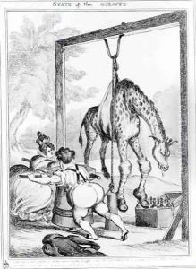 State of the Giraffe by William Heath