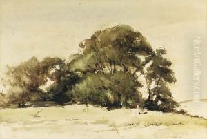 A Group Of Trees In The Dunes Near Wassenaar A Group Of Trees In The Dunes Near Wassenaar