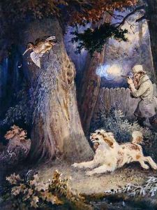Woodcock Shooting by William Heath